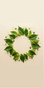 Extraits de plantes